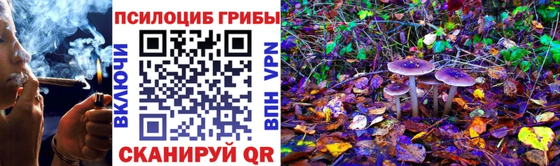 OMG онион  как найти закладки  Орехово-Зуево  Псилоцибиновые грибы ЛСД 
